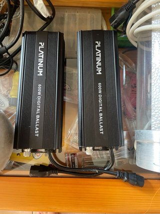 Kit 2 Balastros 600w Digitales Platinum