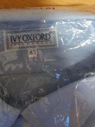 Camicia uomo Ivy Oxford celeste