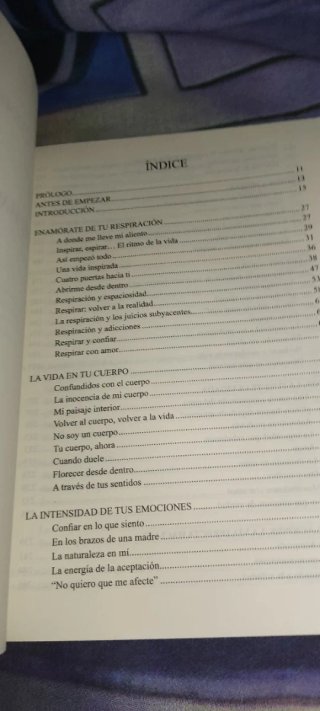 Del hacer al ser : descubrir el regalo del mome...