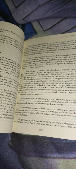 Del hacer al ser : descubrir el regalo del mome...