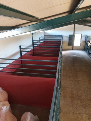 Finca para caballos en pueblo de Sevilla