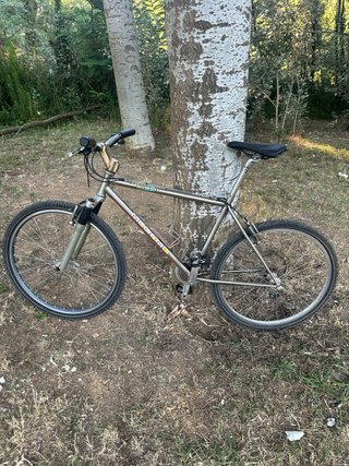 Bicicleta Megamo Vintage