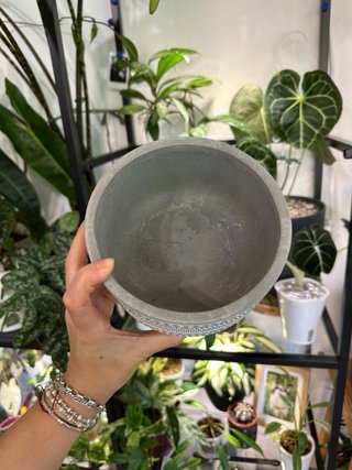 Maceta de cerámica gris y blanca