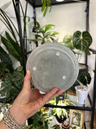 Maceta de cerámica gris y blanca