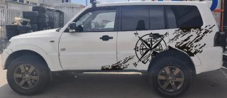Pegatinas y Rotulados para Coches  SÓLO ENVÍOS
