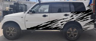 Pegatinas y Rotulados para Coches  SÓLO ENVÍOS