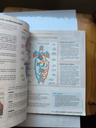 BIOLOGIA Y GEOLOGIA 3 (COMUNIDAD EN RED)