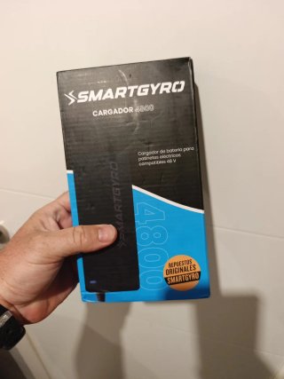 Cargador Smartgyro 4800 48V