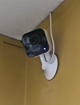 Manitas a domicilio