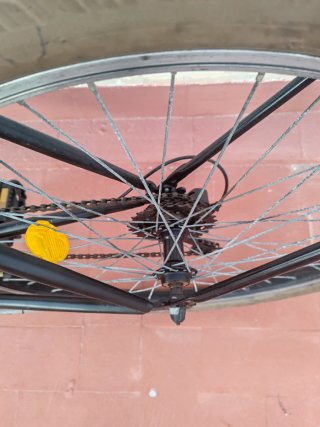 Bicicleta Urbana DTB Town 7.0 Forum Sport