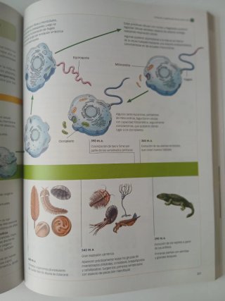 BiologÝa y GeologÝa 1? Bachillerato