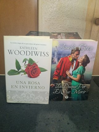 Novelas románticas variadas