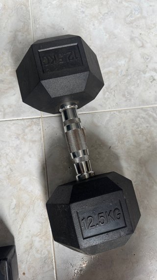 Mancuerna 12.5 KG