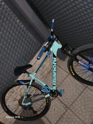 Wheelie bike Bianchi 29"