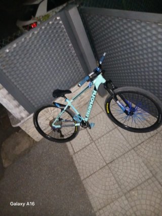 Wheelie bike Bianchi 29"