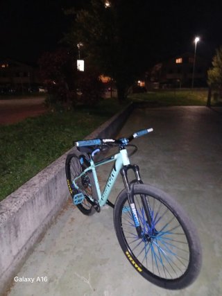 Wheelie bike Bianchi 29"