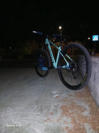 Wheelie bike Bianchi 29"