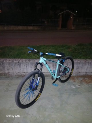 Wheelie bike Bianchi 29"