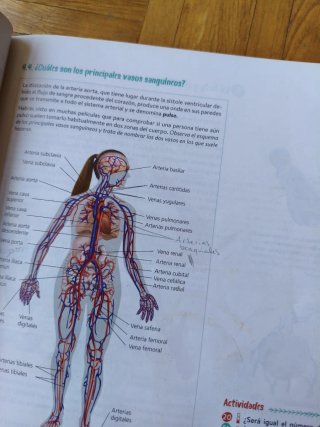 Biología y Geología 3º ESO. Libro del estudiant...