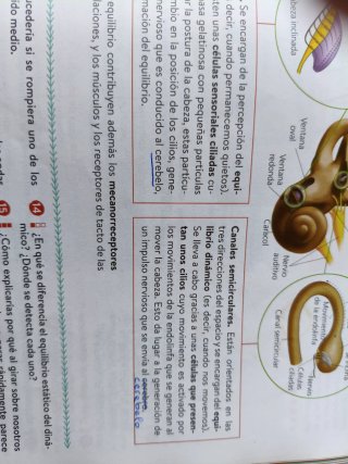 Biología y Geología 3º ESO. Libro del estudiant...