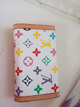 Portafoglio Louis Vuitton Multicolor