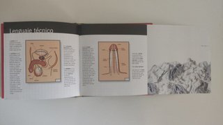 EL LIBRO DEL PENE, JOSEPH COHEN