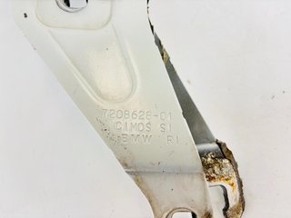 Bisagras capó BMW X5 7208627
