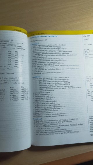 Lingua latina per se illustrata. Familia romana...