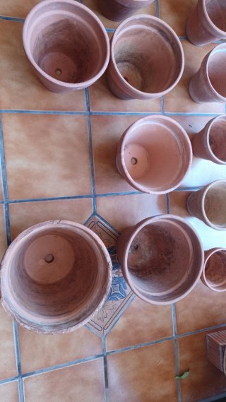 Lote de macetas de barro