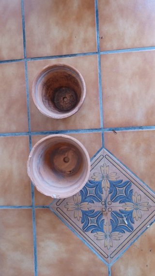 Lote de macetas de barro