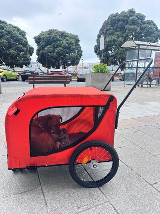 Remolque Perro Bici Negro/Naranja