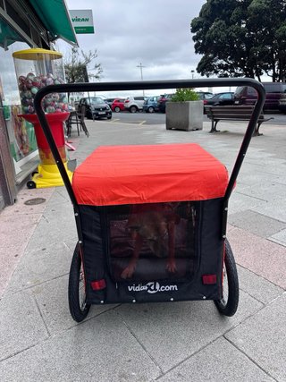 Remolque Perro Bici Negro/Naranja