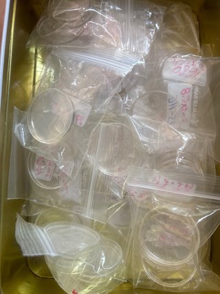 Plexi Rolex