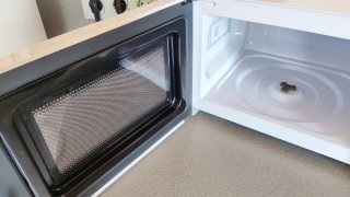Microondas con función grill, 20L, nuevo