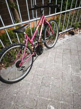 Bicicleta Montaña Rosa