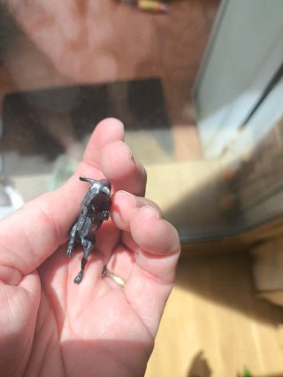 Figura Toro para Bonsái