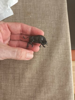 Figura Toro para Bonsái
