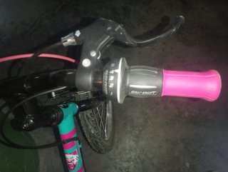Bicicleta Infantil B'Twin 20 5 Velocidades