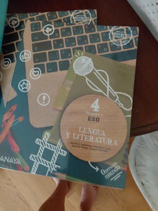 Lengua y Literatura, 4 ESO, Operación mundo