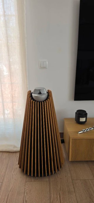 Bang & Olufsen BeoLab 9 + JVO Oak Wood Covers