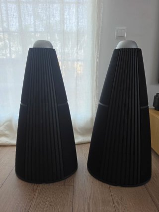 Bang & Olufsen BeoLab 9 + JVO Oak Wood Covers