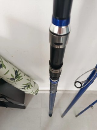 Caña Surfcasting Vercelli Enygma Nessuna