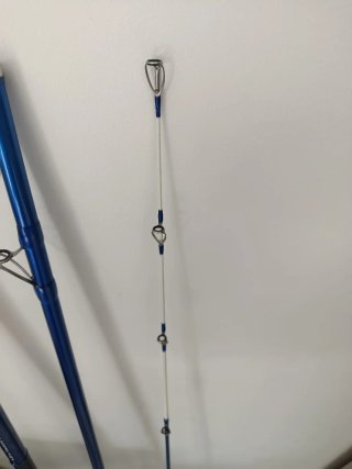 Caña Surfcasting Vercelli Enygma Nessuna
