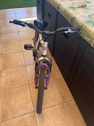Bicicleta infantil 18” Romester