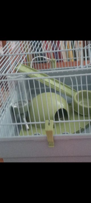 Jaula para hámster gris y verde