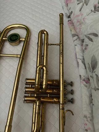Trombón dorado con funda