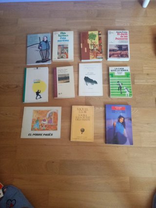 Llibres Català