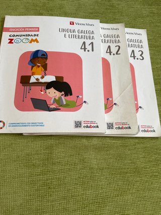 Lingua Galega e Literatura 4, Educación Primari...