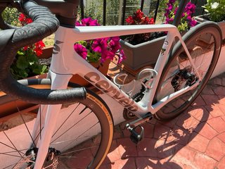 Cervelo R5 2024 Talla 54