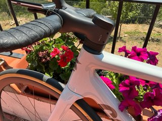 Cervelo R5 2024 Talla 54